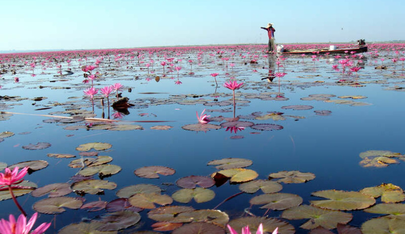 Apartment DPT. Udon Thani - Apt 29532